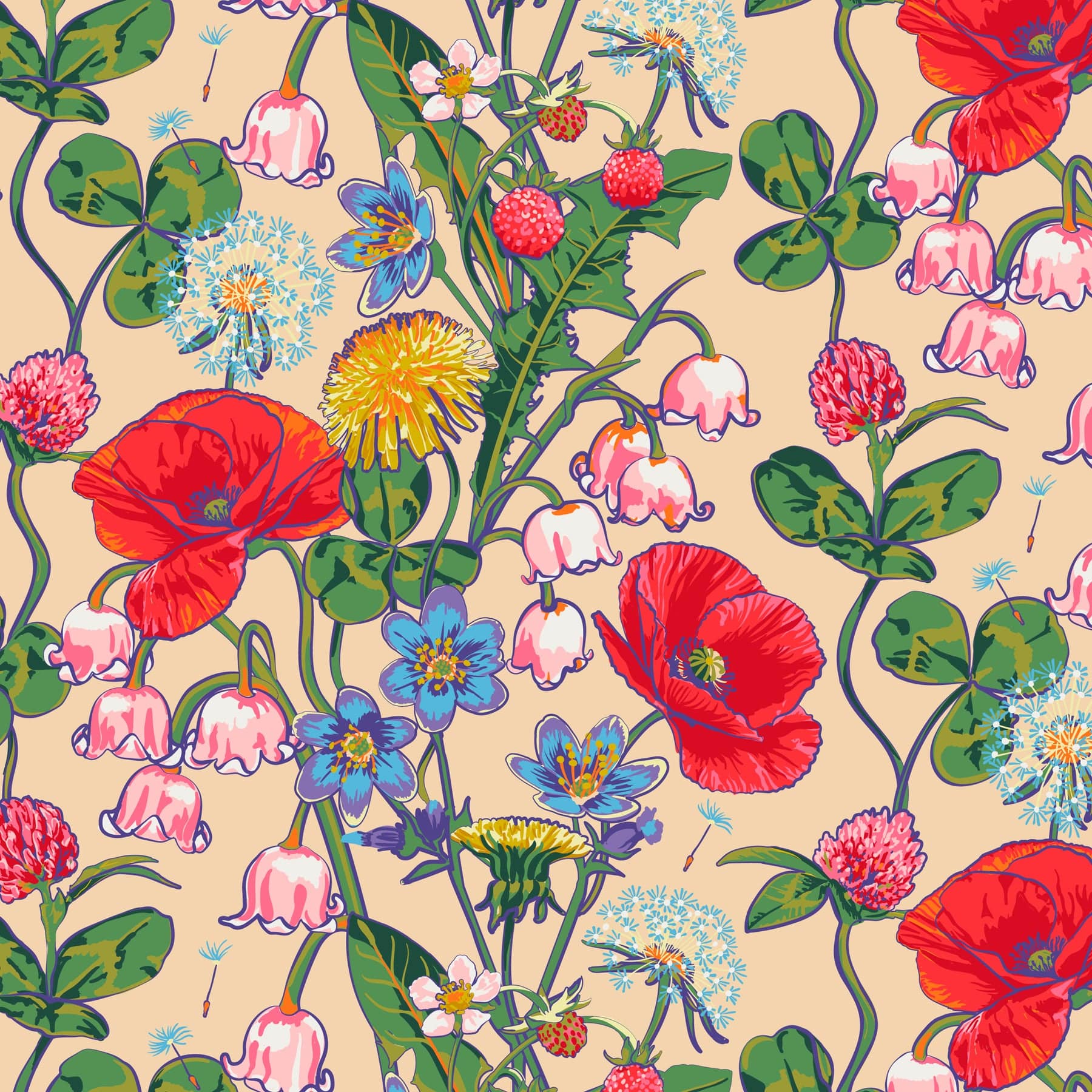 n_sm_23444.jpg