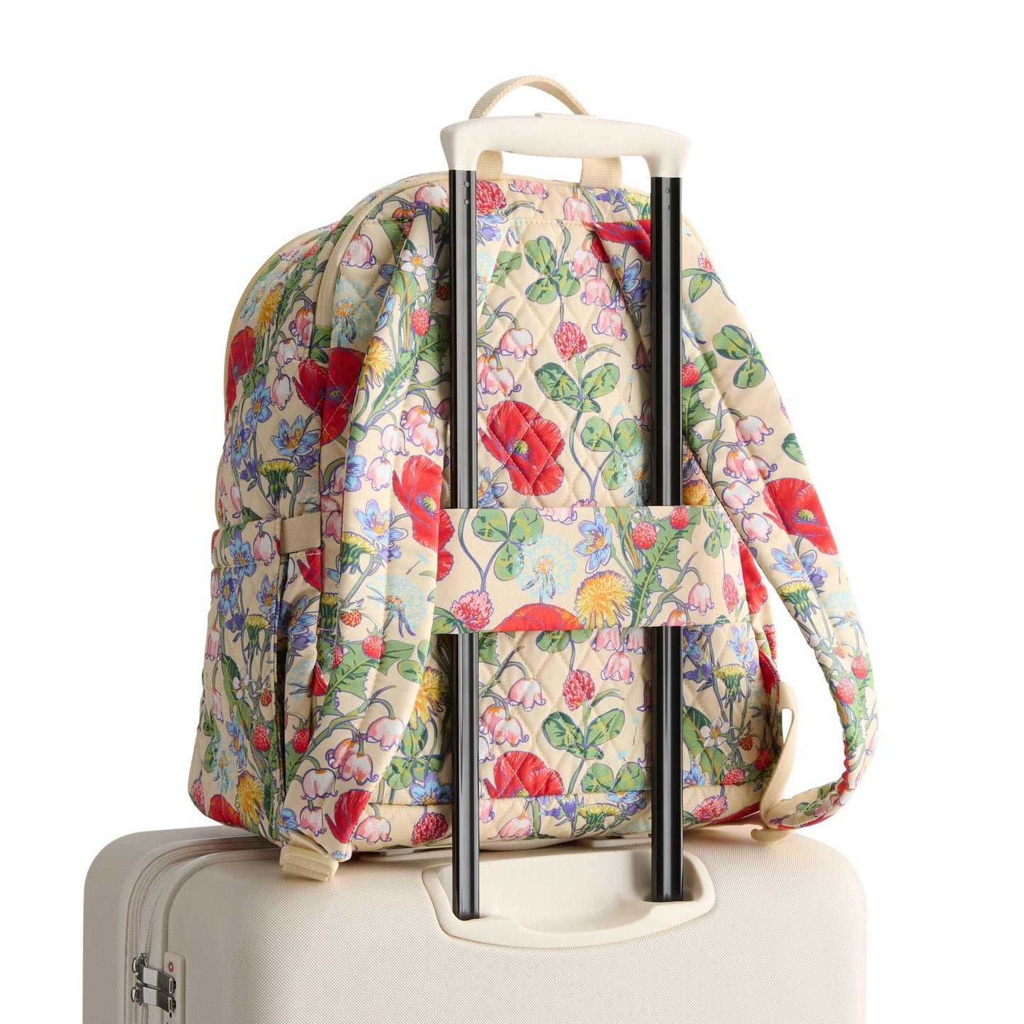 5386923444-V16.jpg